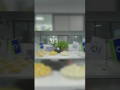 Soilmec Exklusive Agentur für chinesisches Gebiet